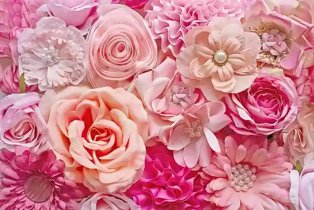 Free download flowers pink background backdrop free picture to be edited with GIMP free online image editor