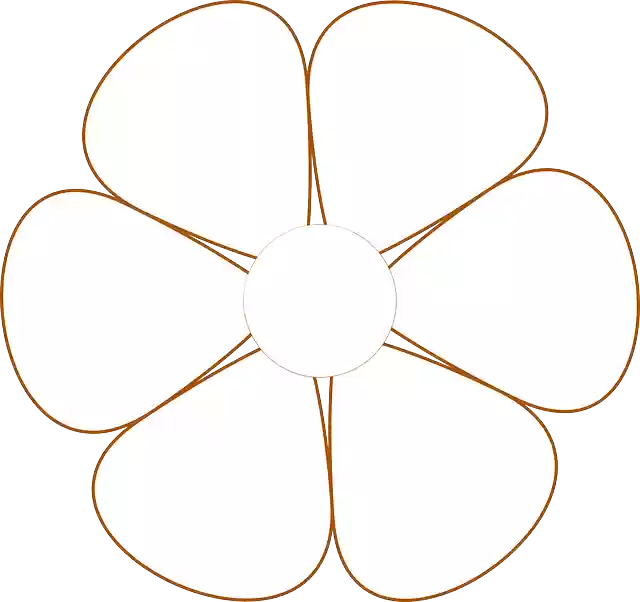 Free download Flower Spring Daisy - Free vector graphic on Pixabay free illustration to be edited with GIMP free online image editor