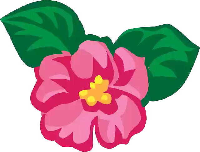 تنزيل مجاني لـ Flower Spring Pink - رسم متجه مجاني على رسم توضيحي مجاني لـ Pixabay ليتم تحريره باستخدام محرر صور مجاني عبر الإنترنت من GIMP