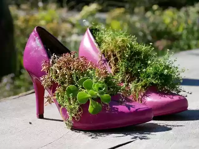 Free download Flowers Shoes Jewellery -  free photo or picture to be edited with GIMP online image editor