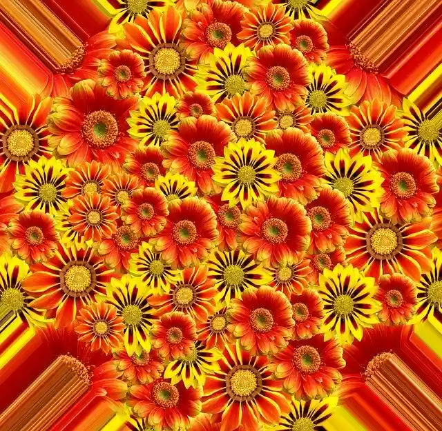 Free download Flowers Summer Nature -  free free photo or picture to be edited with GIMP online image editor
