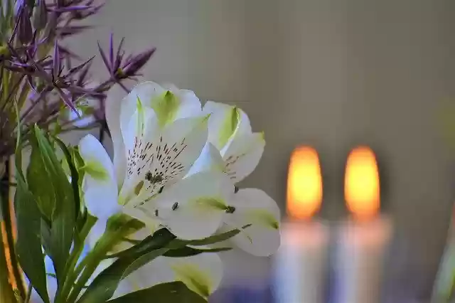Free download Flowers Table Setting Candles -  free photo or picture to be edited with GIMP online image editor
