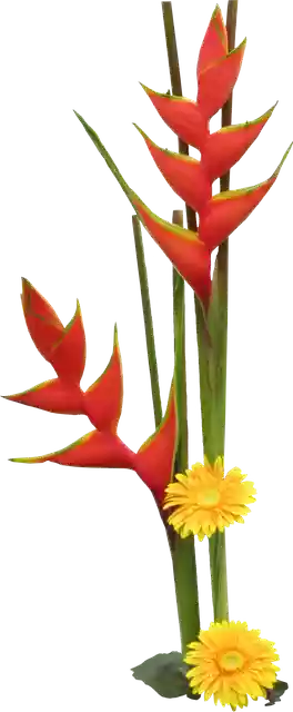 Free download Flowers Tubes Craft Materials -  free illustration to be edited with GIMP free online image editor