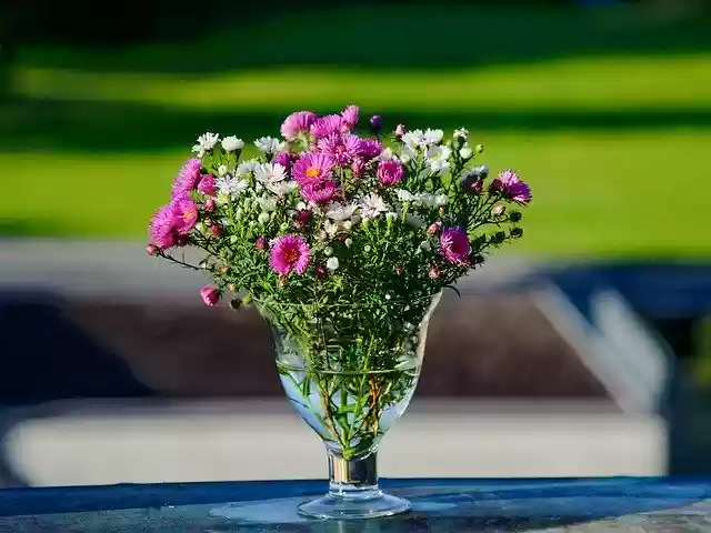 Free download Flowers Vase Bouquet -  free photo or picture to be edited with GIMP online image editor