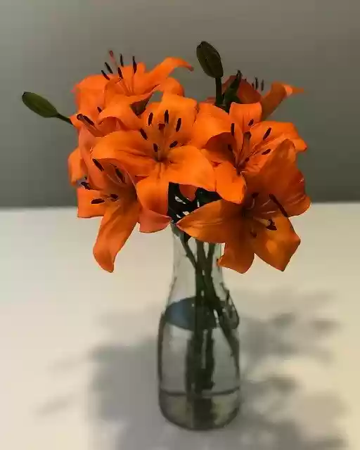 Free download Flowers Vase Decoration -  free photo or picture to be edited with GIMP online image editor