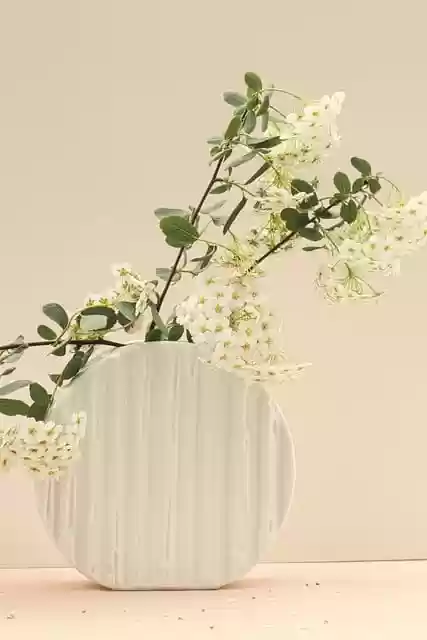 Free download flowers white flowers flower vase free picture to be edited with GIMP free online image editor