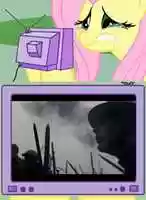 Free download Fluttershy crying due to watching Boardwalk Empire free photo or picture to be edited with GIMP online image editor