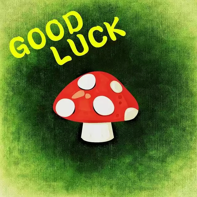 Free download Fly Agaric Luck Greeting Card -  free illustration to be edited with GIMP free online image editor