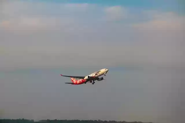 Free download Fly Flight Freedom -  free photo or picture to be edited with GIMP online image editor