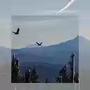 Flying over Wintery Mountains  screen for extension Chrome web store in OffiDocs Chromium