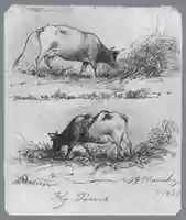 Free download Fly Time (from McGuire Scrapbook) free photo or picture to be edited with GIMP online image editor