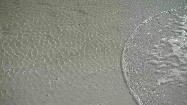 Free download Foam Ripples Beach -  free photo or picture to be edited with GIMP online image editor