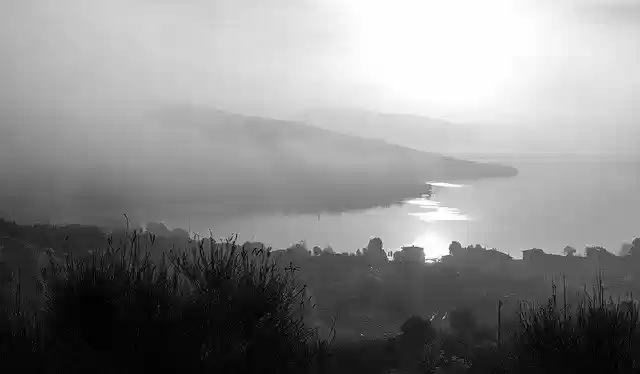 Free download Fog Nature Landscape -  free free photo or picture to be edited with GIMP online image editor