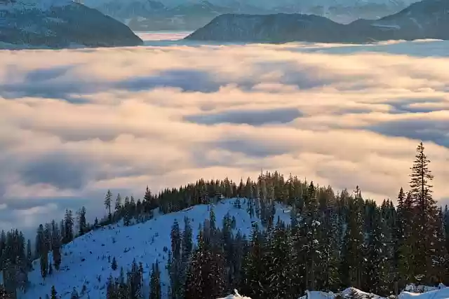 Free download fog snow winter winter landscape free picture to be edited with GIMP free online image editor