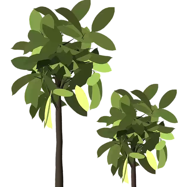 Unduh gratis Dedaunan Daun Daun - ilustrasi gratis untuk diedit dengan editor gambar online gratis GIMP