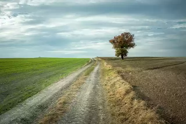 Free download follow whine go free picture to be edited with GIMP free online image editor