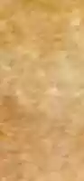 Free download Fondo Beige  free photo or picture to be edited with GIMP online image editor