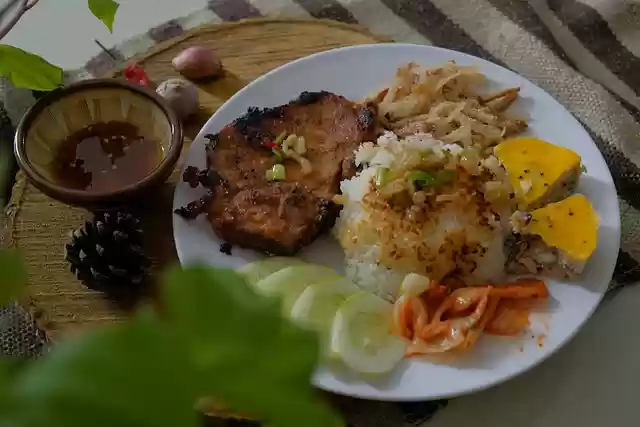Free download food dish rice meal cuisine meat free picture to be edited with GIMP free online image editor