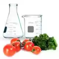 Free download Food Science free photo or picture to be edited with GIMP online image editor