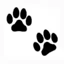 Footprint  screen for extension Chrome web store in OffiDocs Chromium