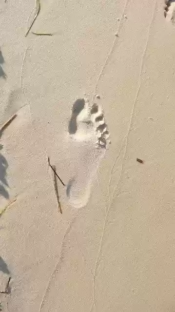 دانلود رایگان Footprint Beach Sand Walk On The - عکس یا تصویر رایگان قابل ویرایش با ویرایشگر تصویر آنلاین GIMP