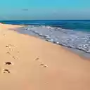 Footprints in the Sand  screen for extension Chrome web store in OffiDocs Chromium