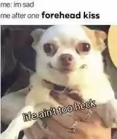 Free download forehead kiss free photo or picture to be edited with GIMP online image editor