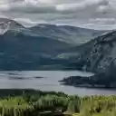 Forest along the lake shore  screen for extension Chrome web store in OffiDocs Chromium