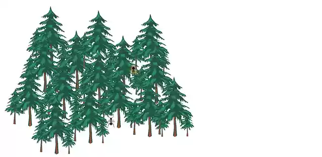 Free download Forest Animals Nature -  free illustration to be edited with GIMP free online image editor