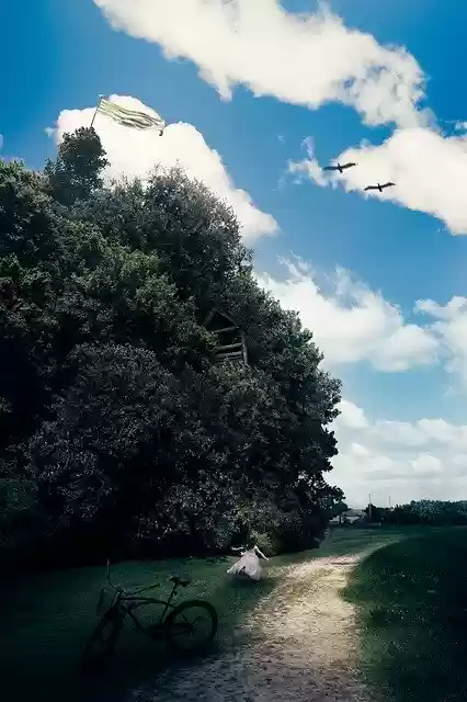 Free download Forest Fantasy Dream -  free photo or picture to be edited with GIMP online image editor