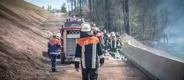 Free download Forest Fire Brand -  free photo or picture to be edited with GIMP online image editor