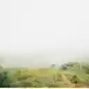 forest fog  screen for extension Chrome web store in OffiDocs Chromium