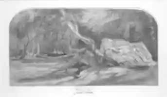 Free download Forest Glen free photo or picture to be edited with GIMP online image editor