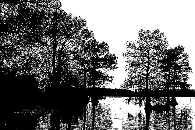 Free download Forest Landscape Silhouette -  free illustration to be edited with GIMP free online image editor