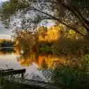 FOREST LEAF LAKE Theme  screen for extension Chrome web store in OffiDocs Chromium