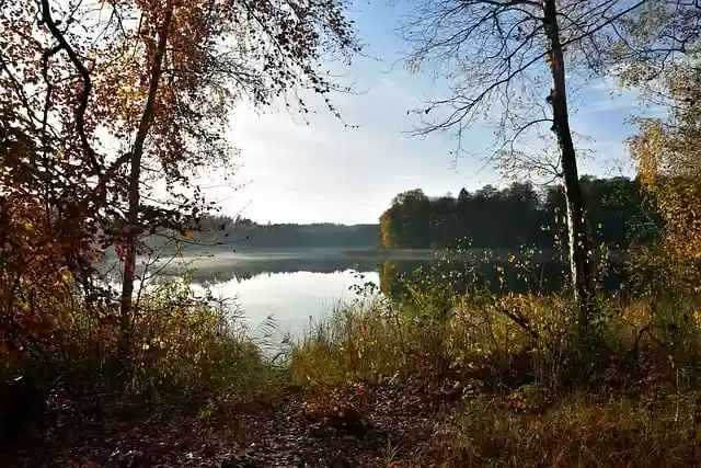 Free download forest nature lake water trees free picture to be edited with GIMP free online image editor