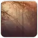 Forestry  screen for extension Chrome web store in OffiDocs Chromium