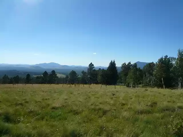 Free download Forest San Francisco Peaks -  free photo or picture to be edited with GIMP online image editor