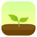 Forest: stay focused, be present  screen for extension Chrome web store in OffiDocs Chromium