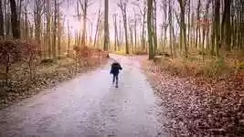 Free download Forest Sun Child -  free video to be edited with OpenShot online video editor