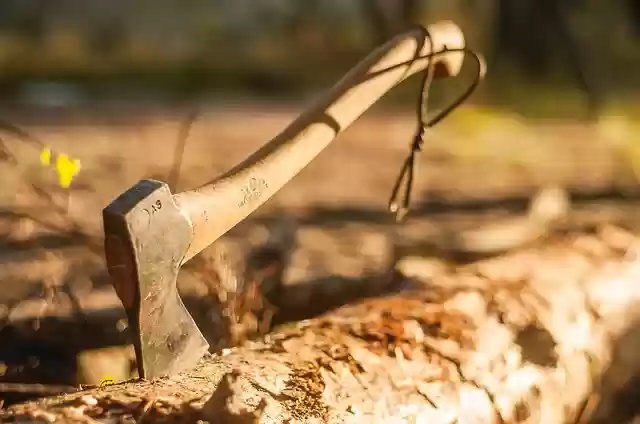 Free download forest tourism hike axe axe axe free picture to be edited with GIMP free online image editor