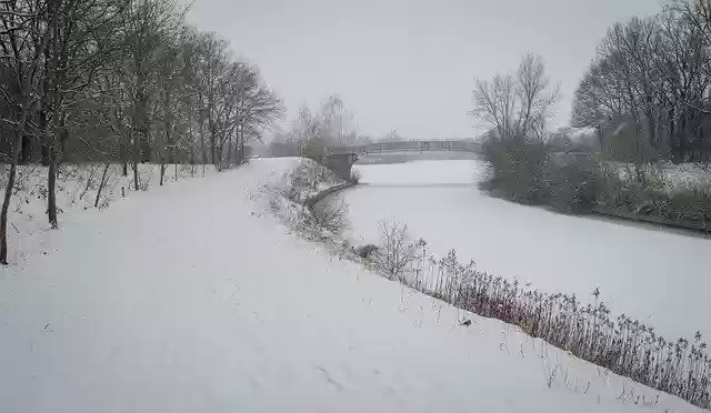 Безкоштовно завантажте безкоштовний шаблон фотографій Forest Winter Outdoor для редагування в онлайн-редакторі зображень GIMP