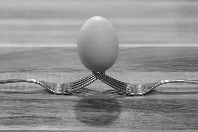 Free download fork egg macro photo art free picture to be edited with GIMP free online image editor