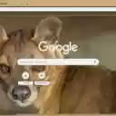 Fossa  screen for extension Chrome web store in OffiDocs Chromium