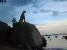 Free download Foto 7812 free photo or picture to be edited with GIMP online image editor