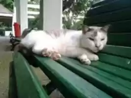 Free download Foto 8647 free photo or picture to be edited with GIMP online image editor