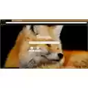 Foxes eyes closed  screen for extension Chrome web store in OffiDocs Chromium