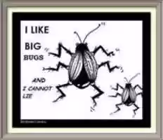 Free download Framed Comics 2 free photo or picture to be edited with GIMP online image editor