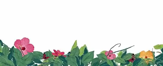 Free download Framework Flowers Spring -  free photo or picture to be edited with GIMP online image editor