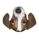 FrankerFaceZ  screen for extension Chrome web store in OffiDocs Chromium